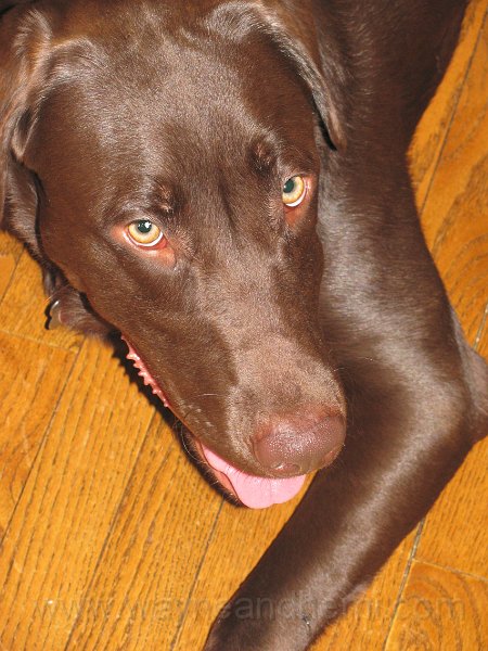 2009_10_01 Hemi_0797.JPG